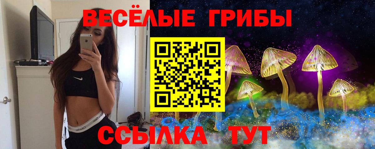 Луга  Галлюциногенные грибы прущие грибы  Псилоцибиновые грибы GOLDEN TEACHER  Вход с VPN 