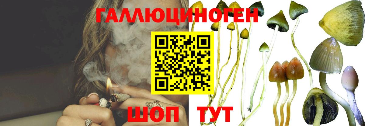 Псилоцибиновые грибы Psilocybe Луга